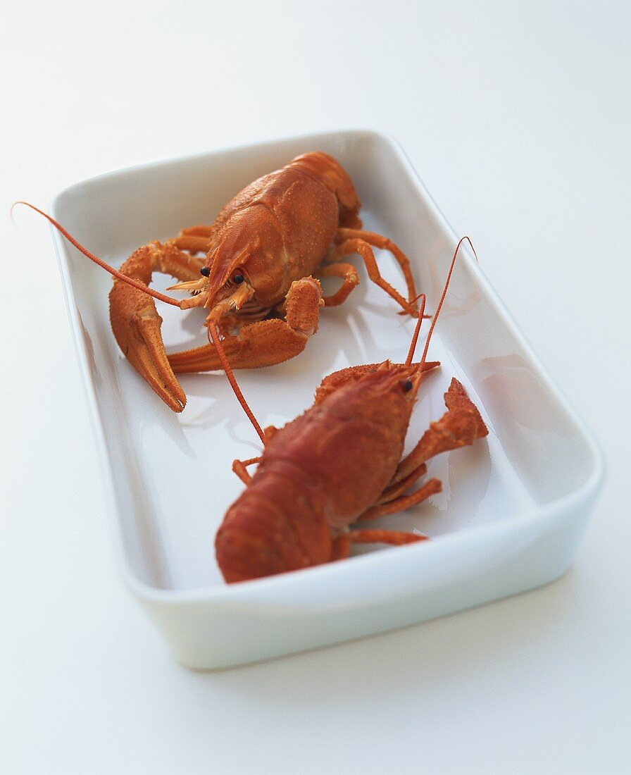 Two cooked crayfish