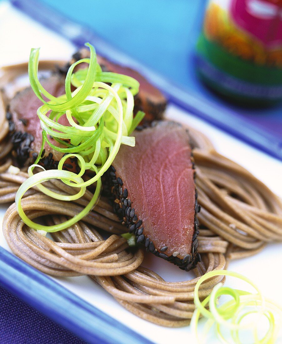 Udon noodles with tuna and spring onions (Japan)