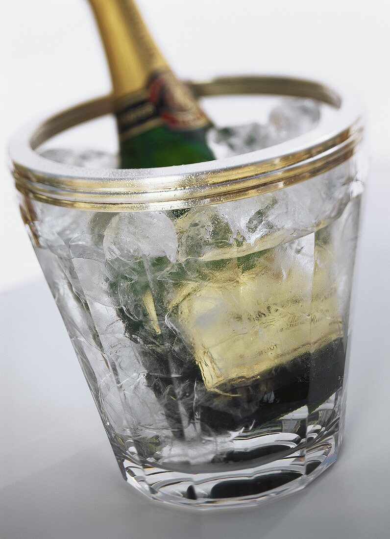 Eine Champagnerflasche im Sektkühler mit Wasser und Eis