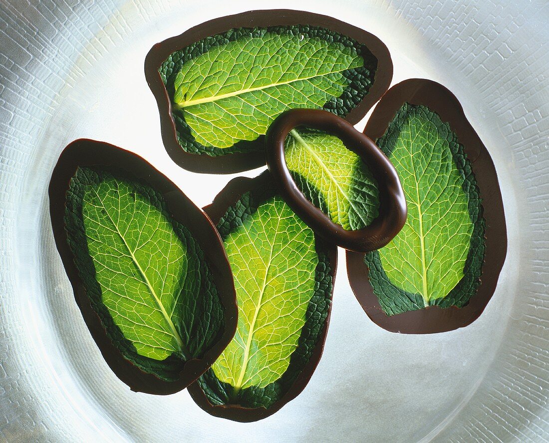 Minzblätter mit Schokoladen-Rand