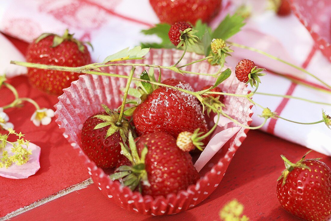 Strawberries and wild strawberries in muffin case