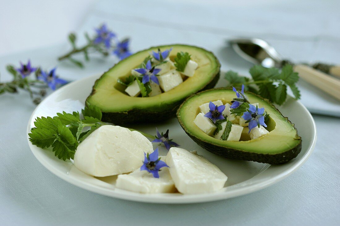 Avocado gefüllt mit Mozzarella und Borretschblüten