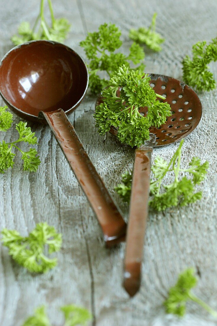 Curly parsley with ladle and skimmer
