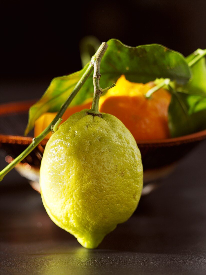 Eine Zitrone & Orangen im Hintergrund