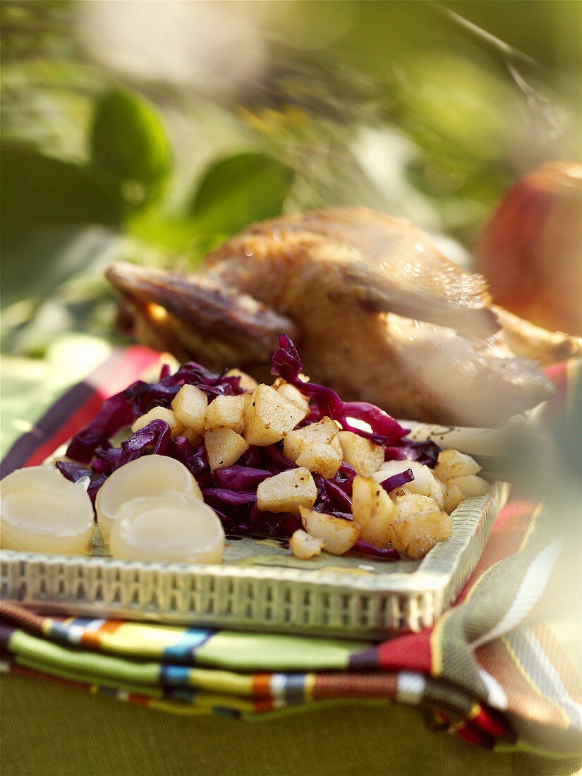 Pigeon with apple and red cabbage