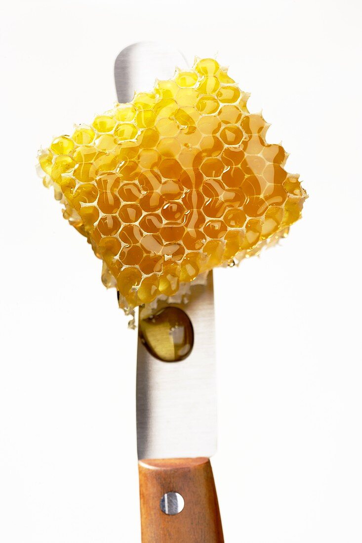 A piece of honeycomb on a knife