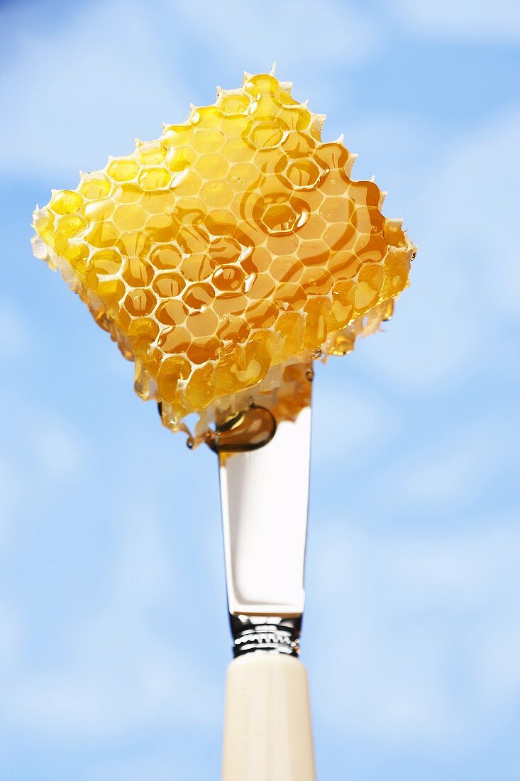 A piece of honeycomb on a knife