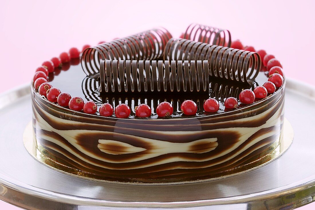 Chocolate cake with redcurrants