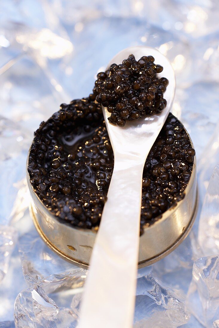 Osietra caviar in tin and on mother-of-pearl spoon