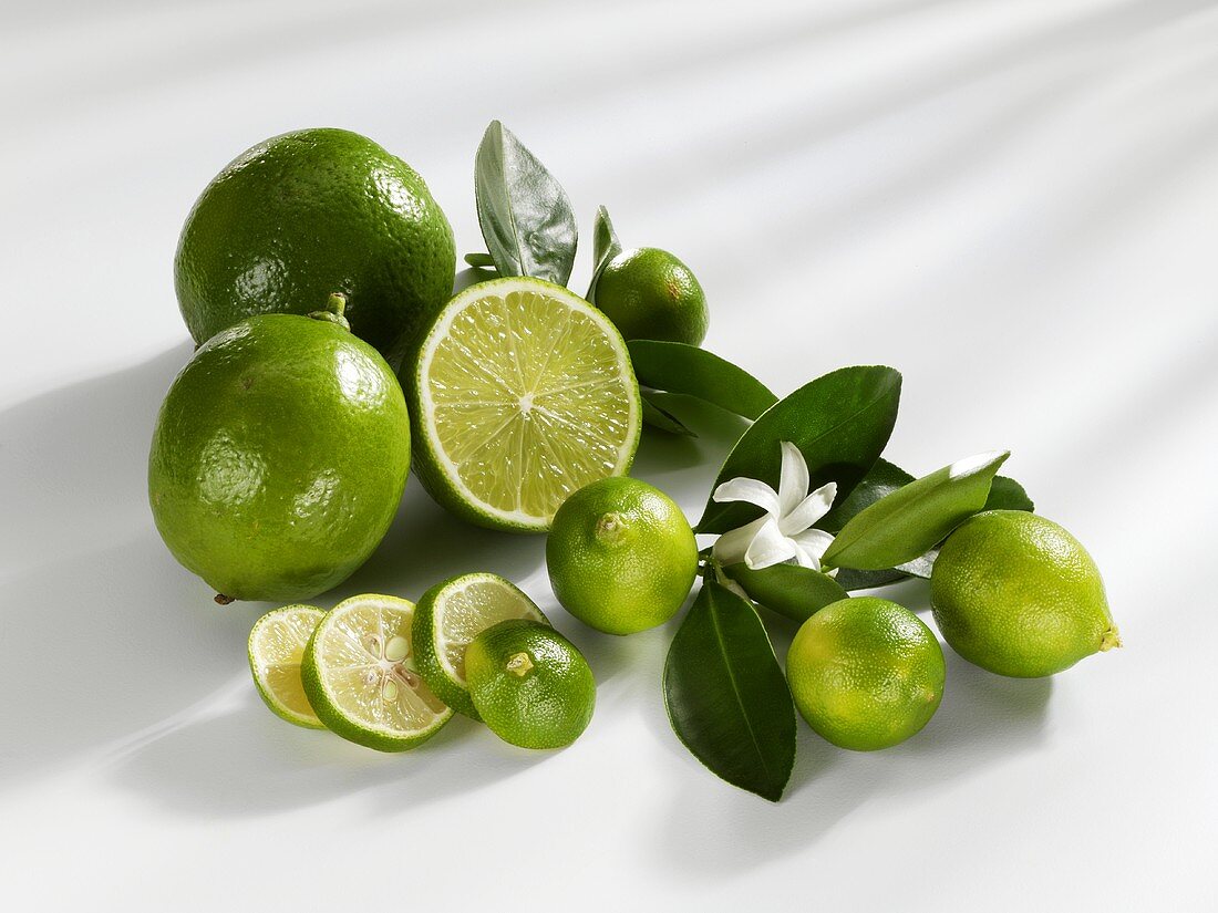 Limequats und Limetten mit Blättern