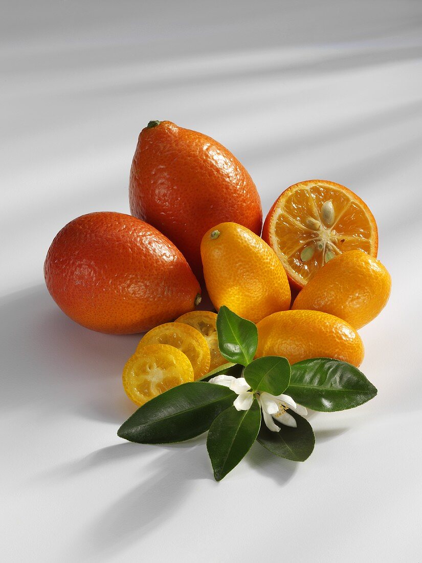 Grosse und kleine Kumquats