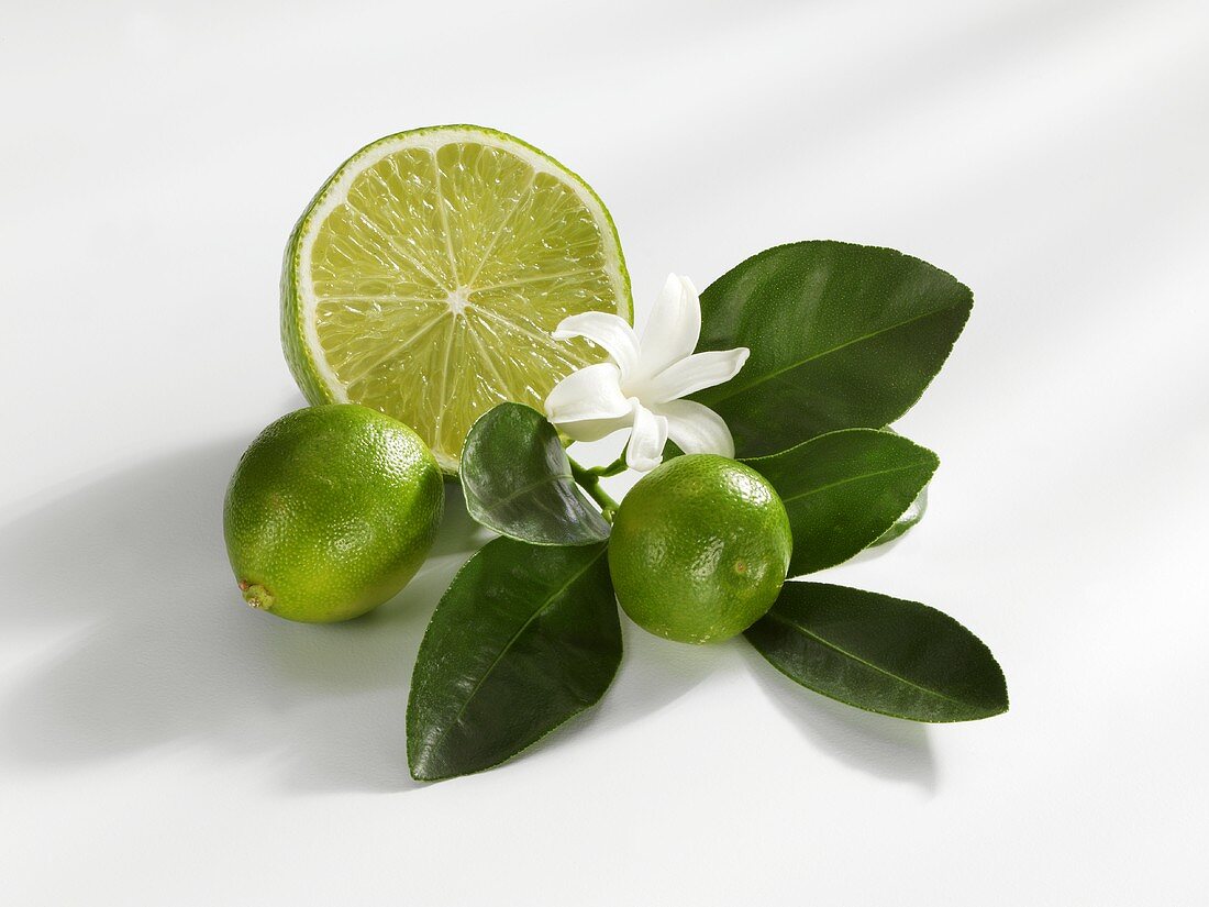 Limequats and half a lime with leaves and flower