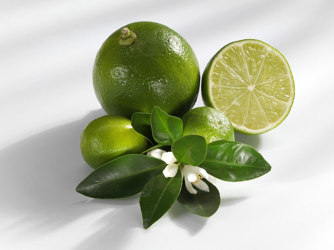 Whole and half lime, limequats, leaves and flowers