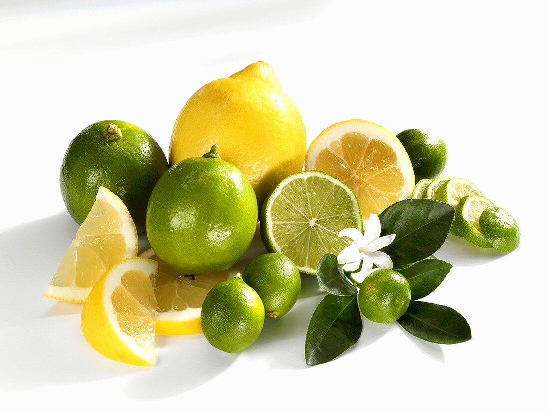 Lemons, limes and limequats