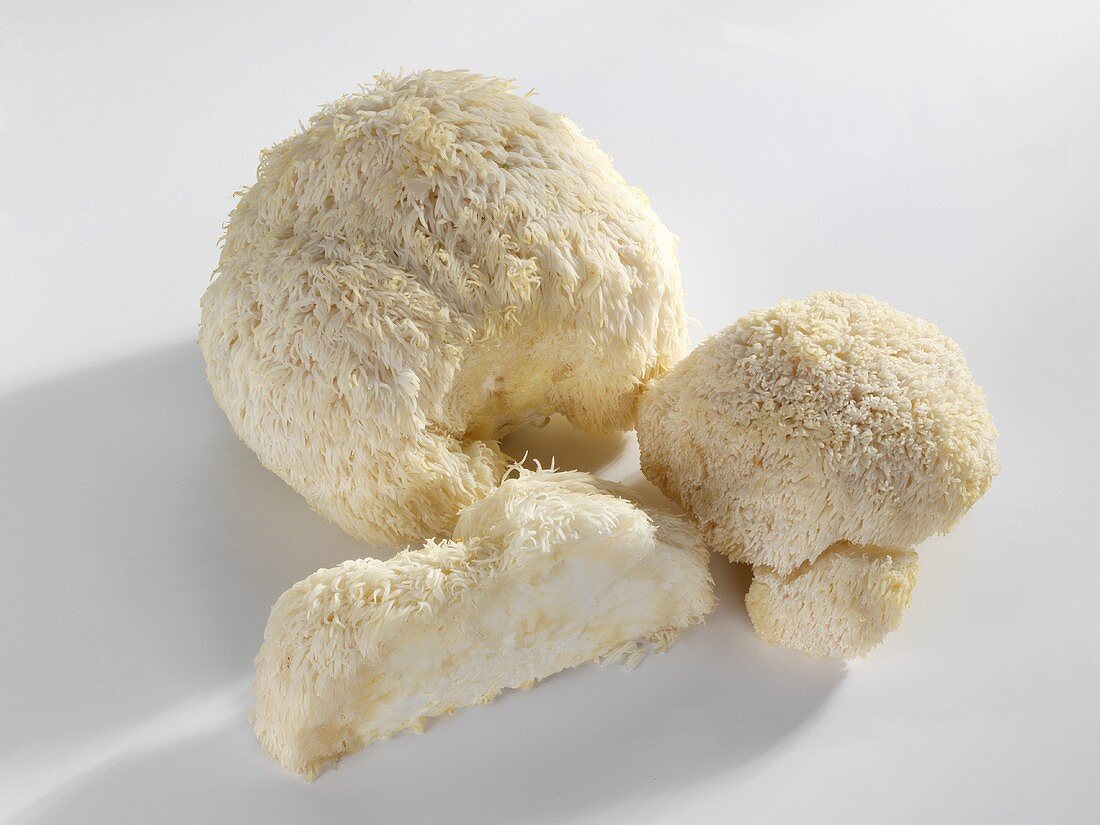 Lion's mane mushrooms (Hericium erinaceus)