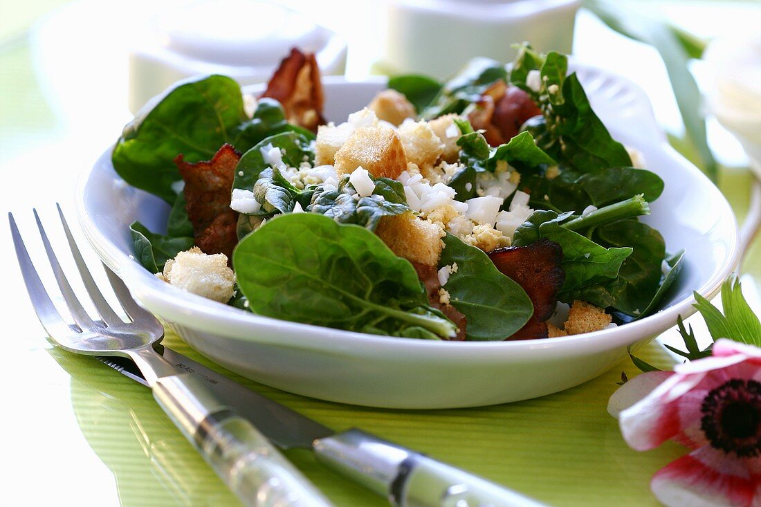Spinach salad with fried bacon and croutons