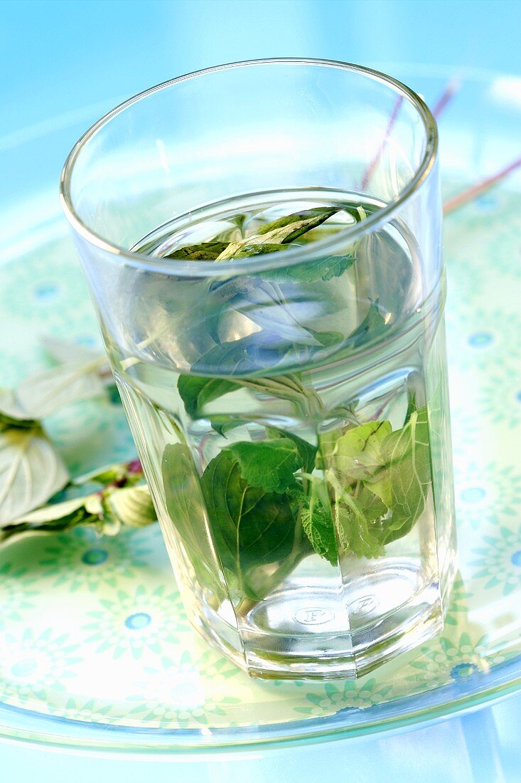 A glass of herb water