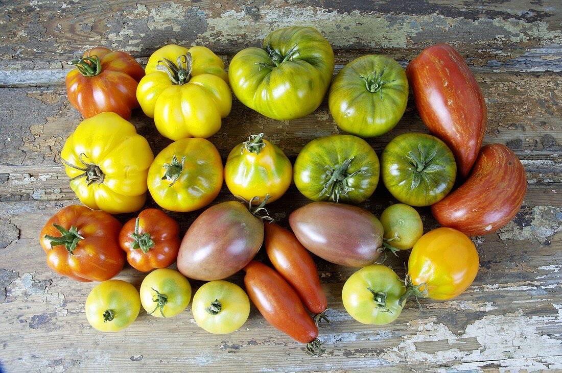 Various types of tomatoes on wooden background