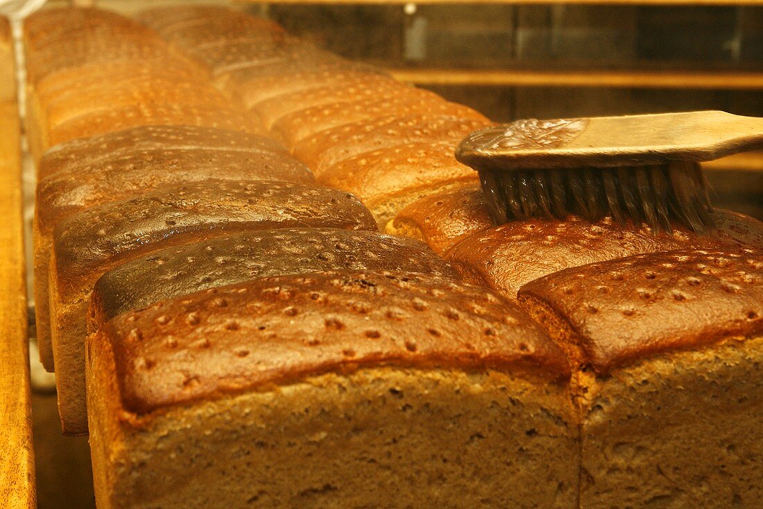 Loaves of bread on baking production line