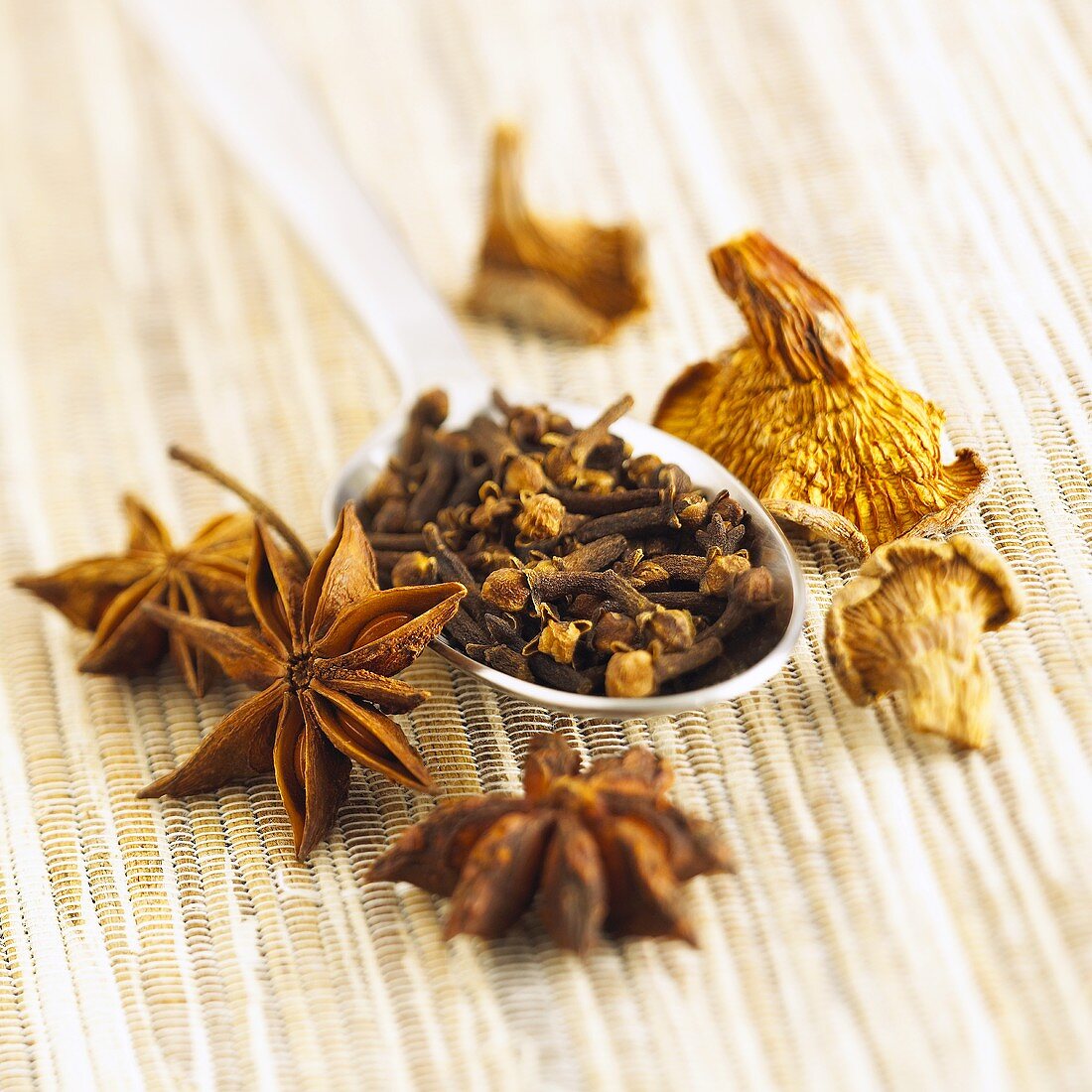 Star anise, cloves and dried mushrooms
