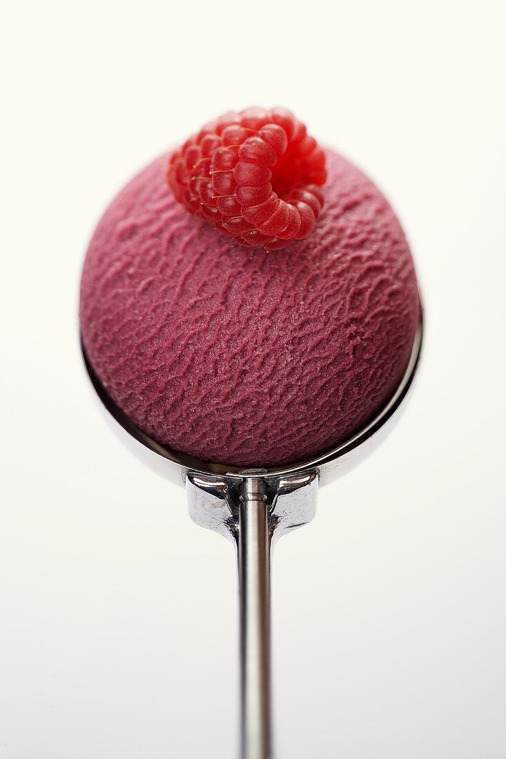 Fruits of the forest sorbet with raspberry in ice cream scoop