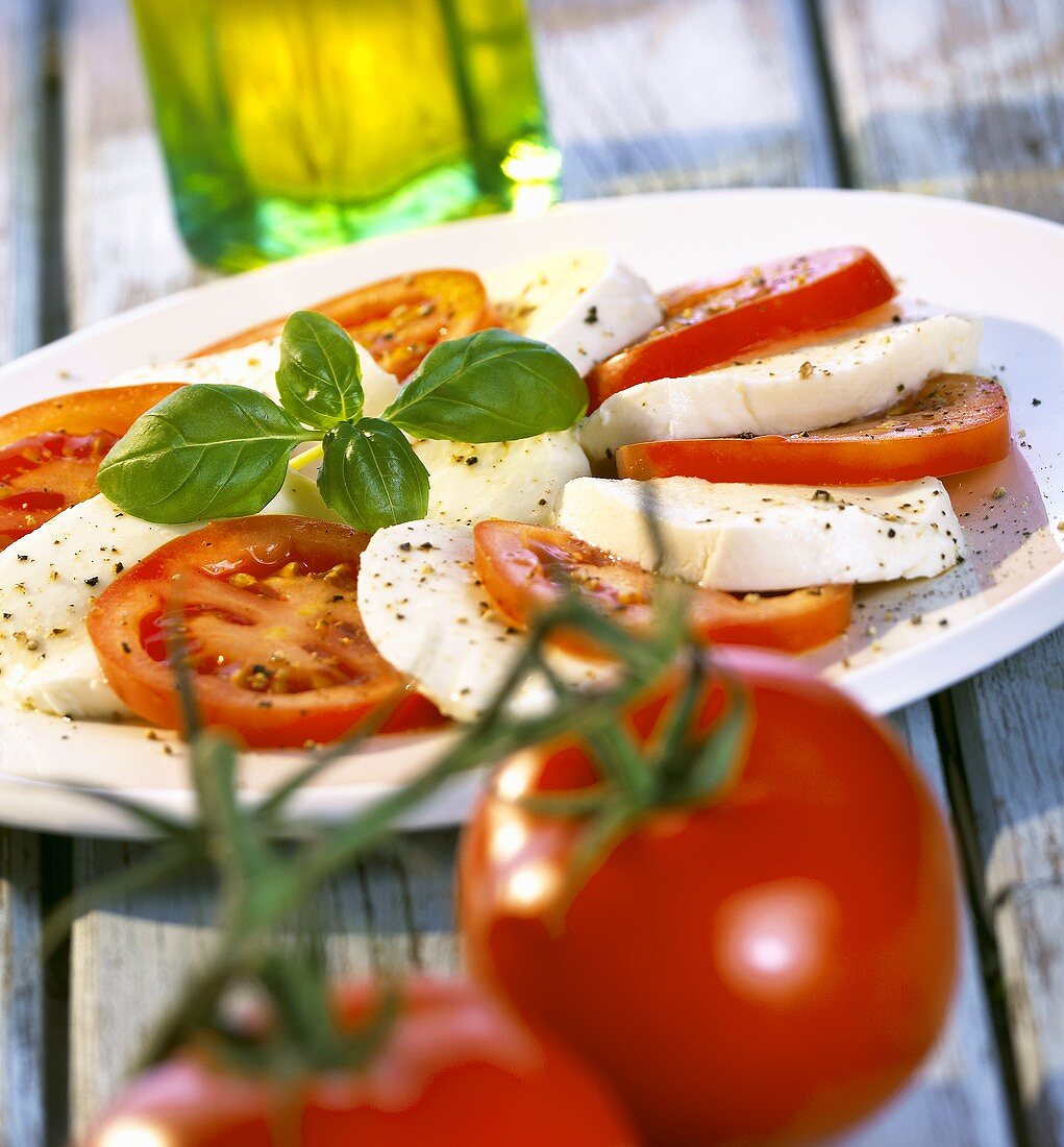 Insalata caprese (Tomaten & Mozzarella mit Basilikum)