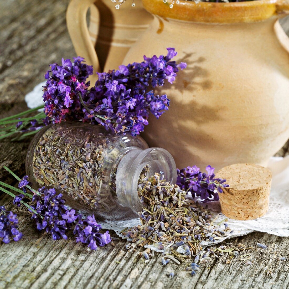 Blühender und getrockneter Lavendel
