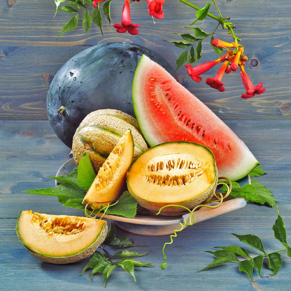 Various types of melons, whole and pieces