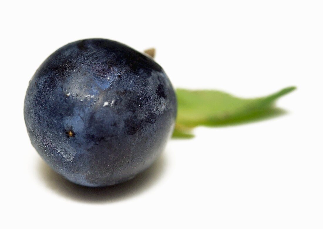 A damson