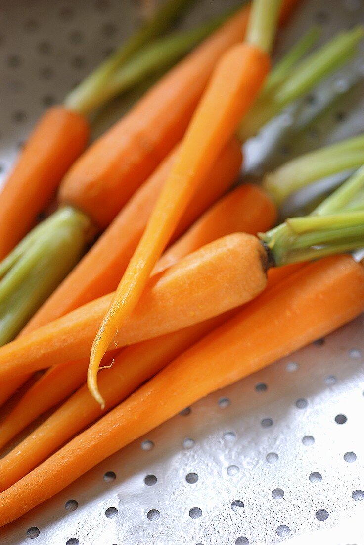 Gedämpfte Karotten