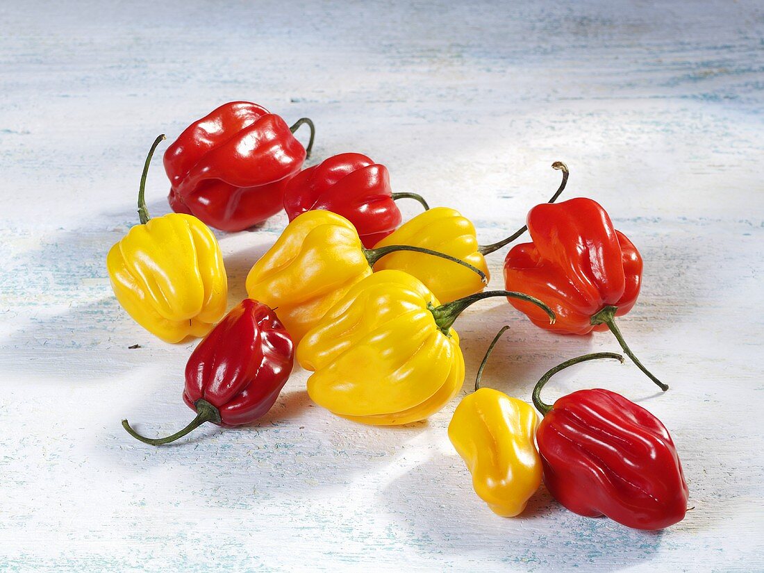 Yellow and red Habanero chillies