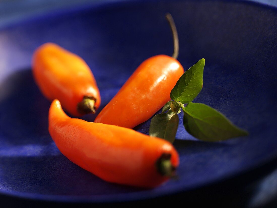 Three orange chillies