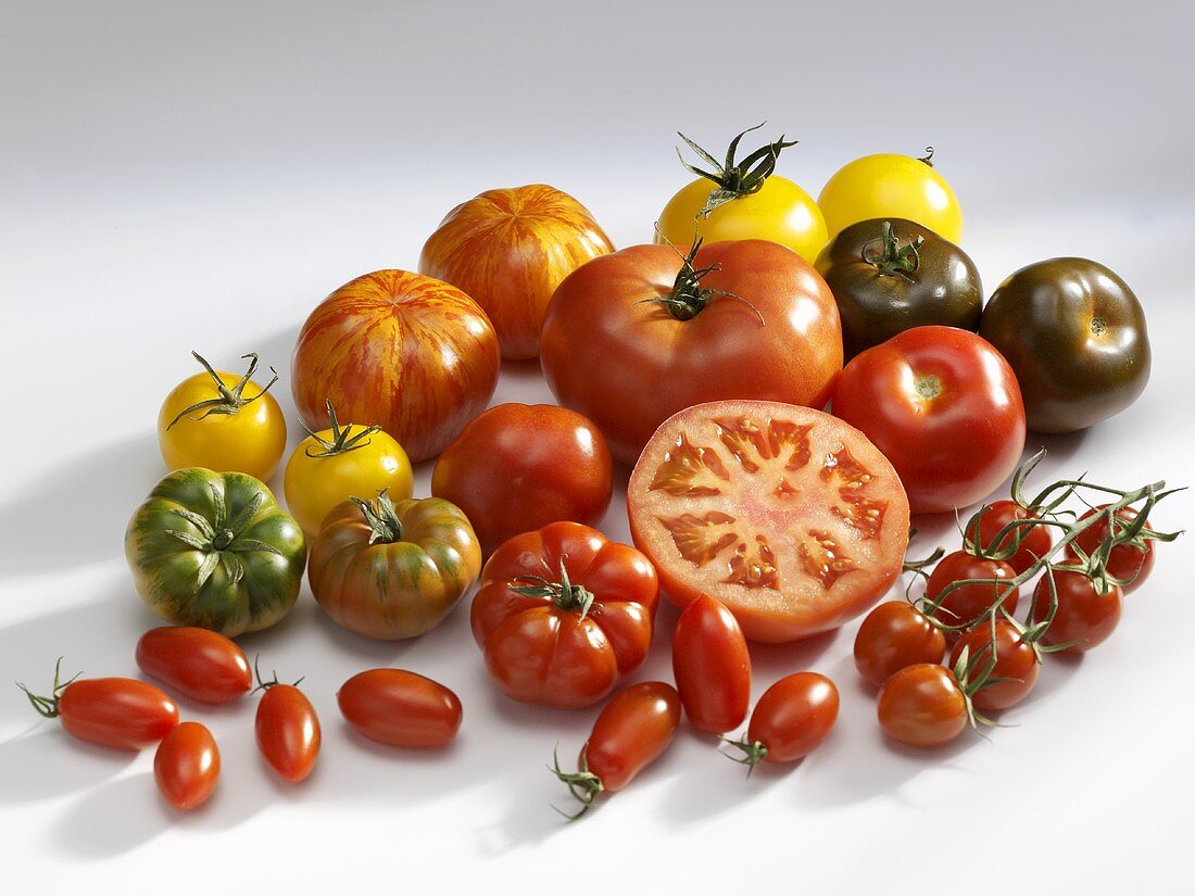 Various types of tomatoes