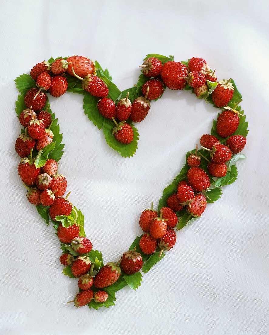 Wild strawberries and leaves forming a heart