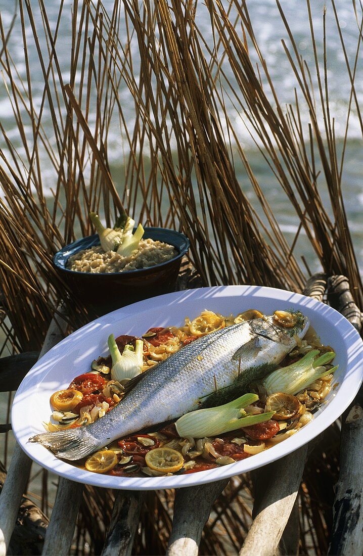 Sea bass on bed of vegetables