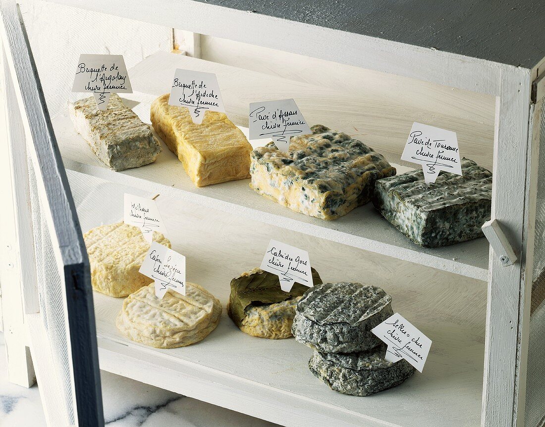 A selection of goat's cheeses