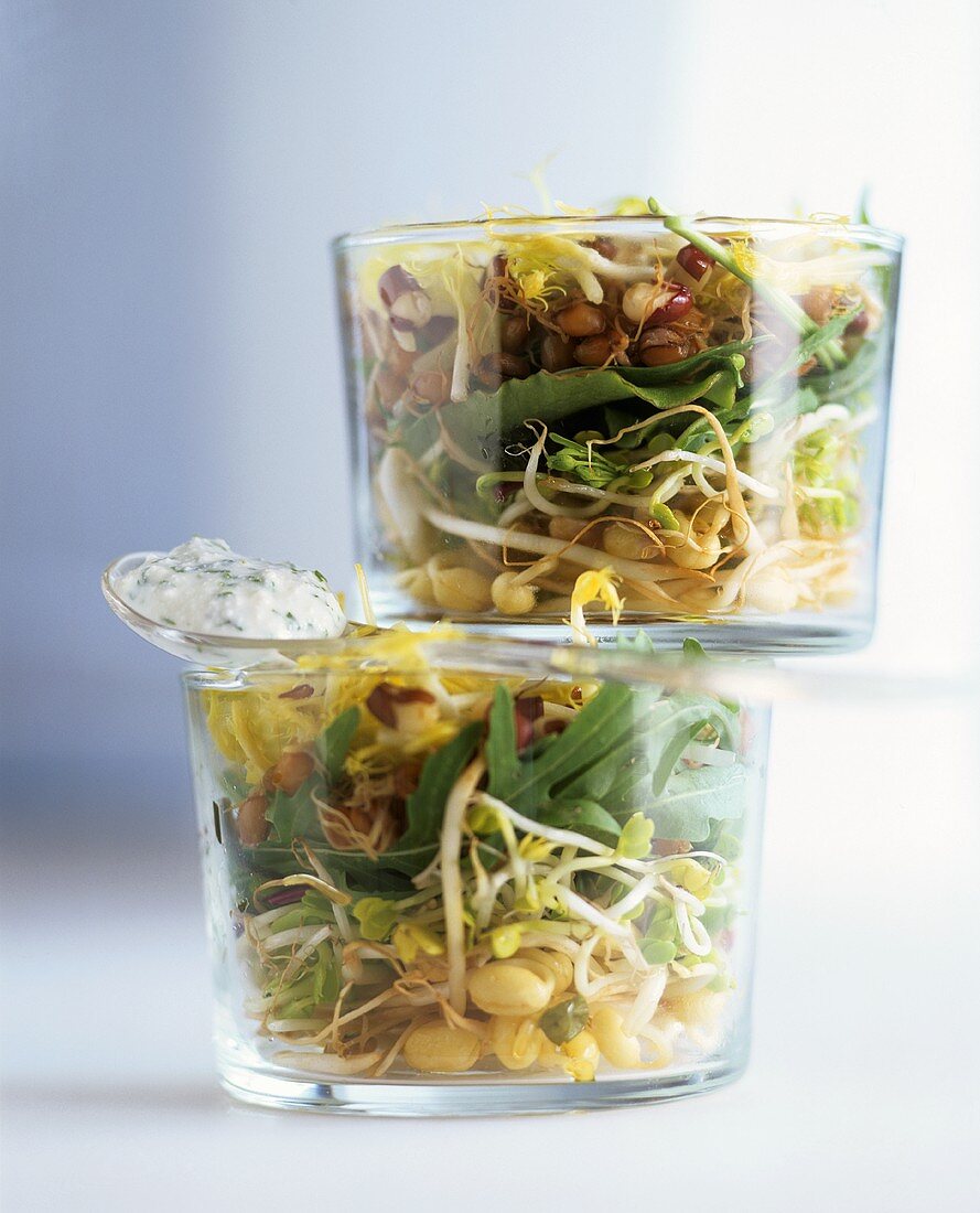 Sprout salad in two glass bowls with herb quark