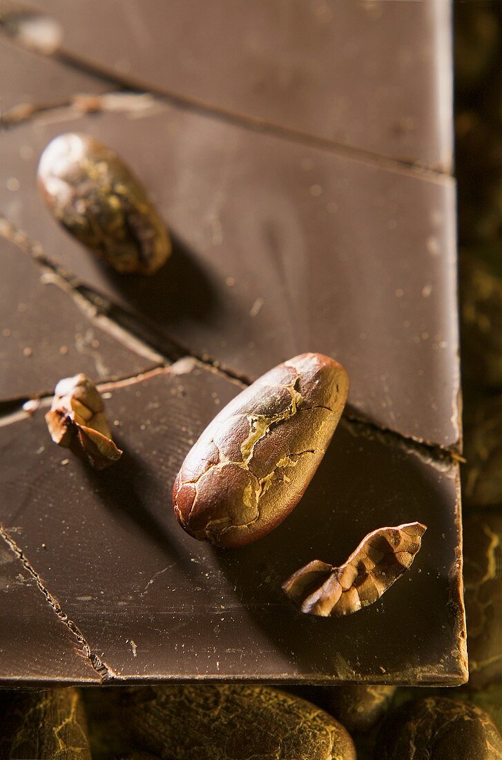 Kakaobohnen auf zerbrochener Schokoladentafel