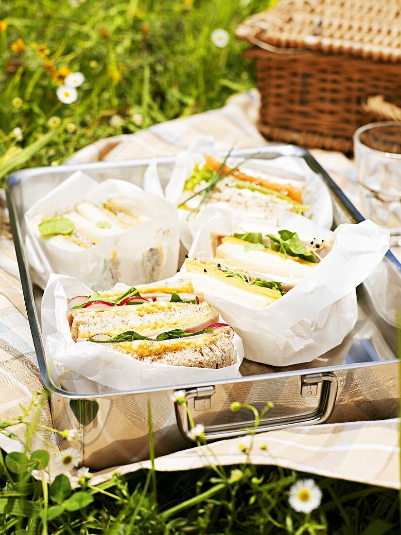 Verschiedene Sandwiches fürs Picknick