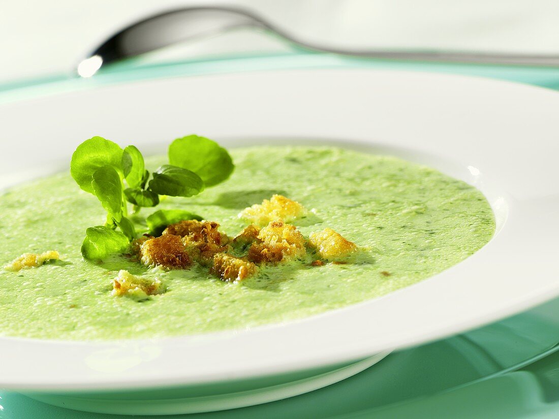 Cress soup with croutons