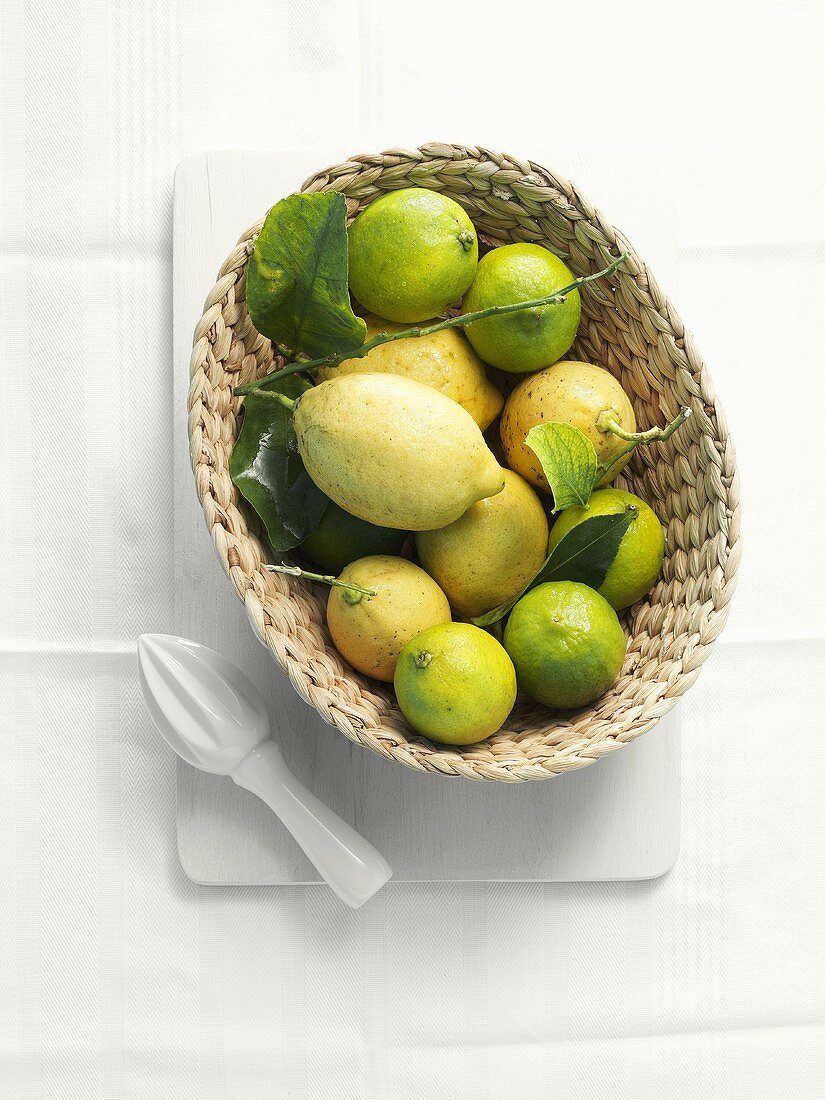 Lemons and limes in a small basket with lemon squeezer