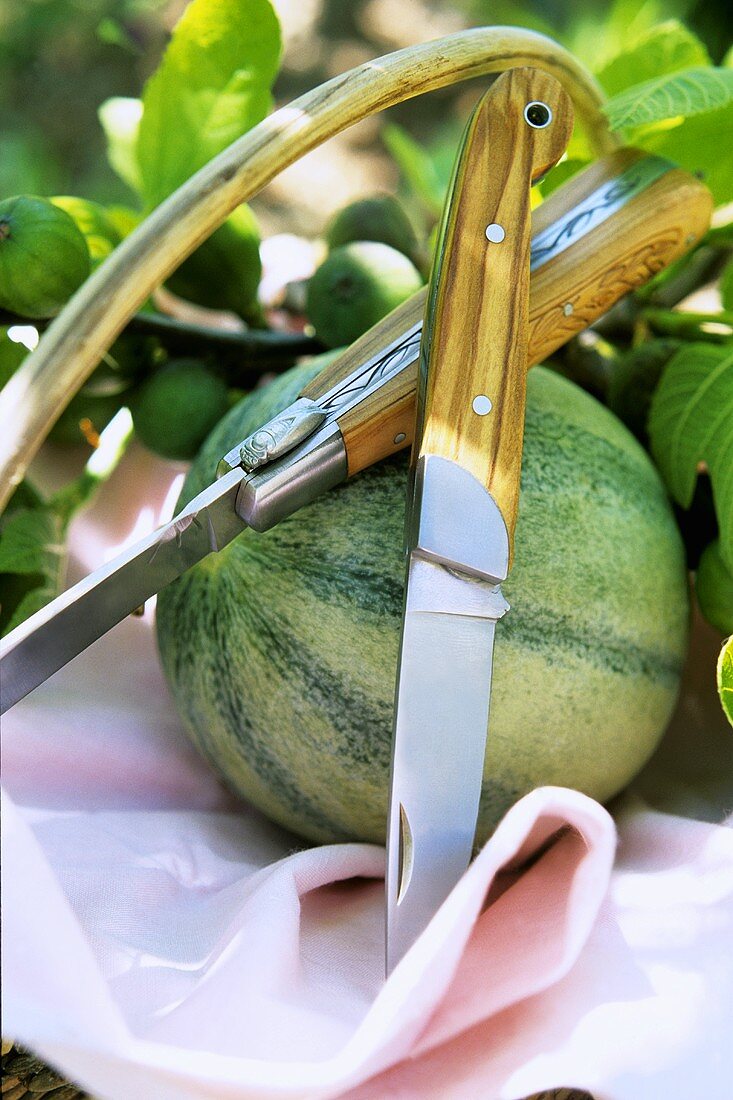 Watermelon and figs on branch with two knives