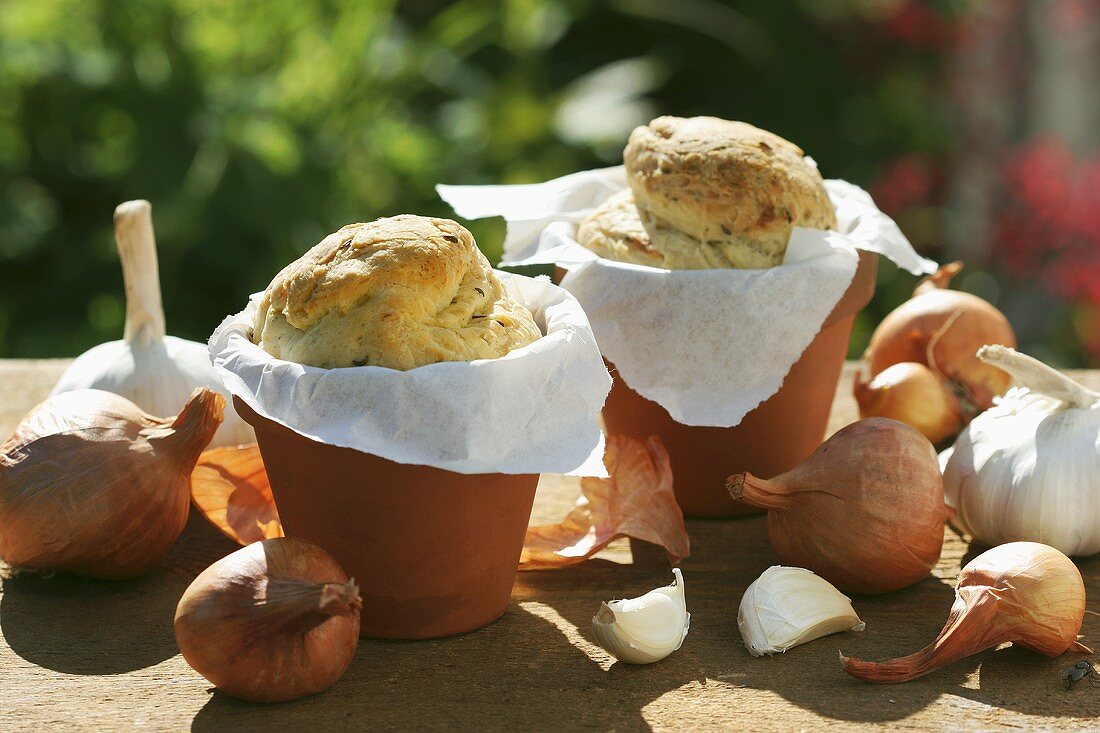 Kümmelbrot im Blumentopf