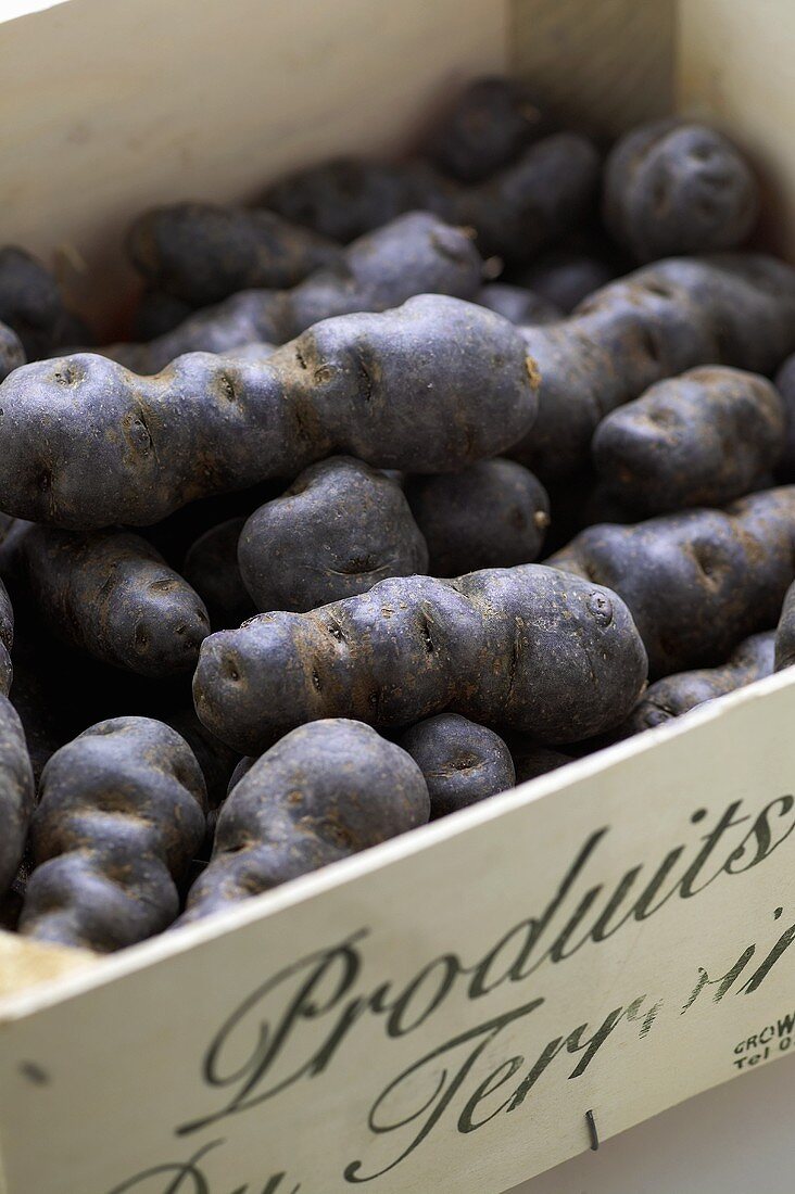 Potatoes, variety 'Vitelotte', in a crate