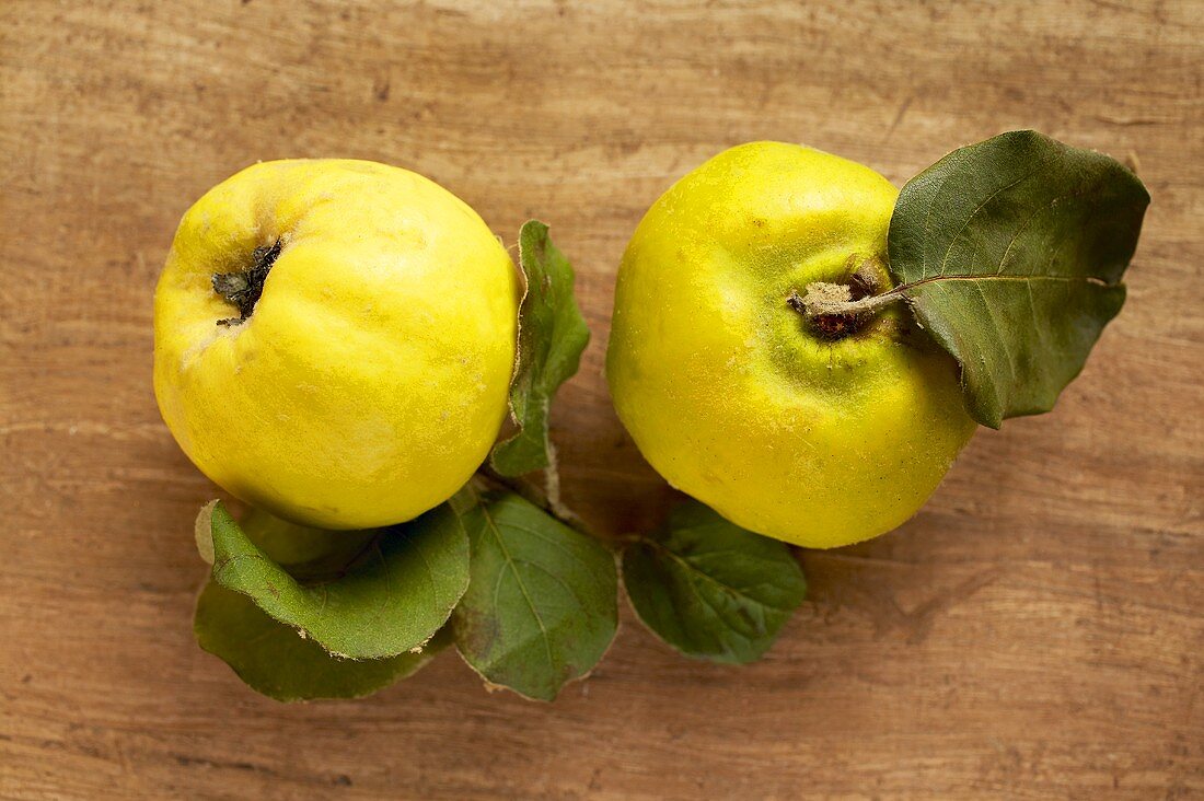 Two quinces with leaves