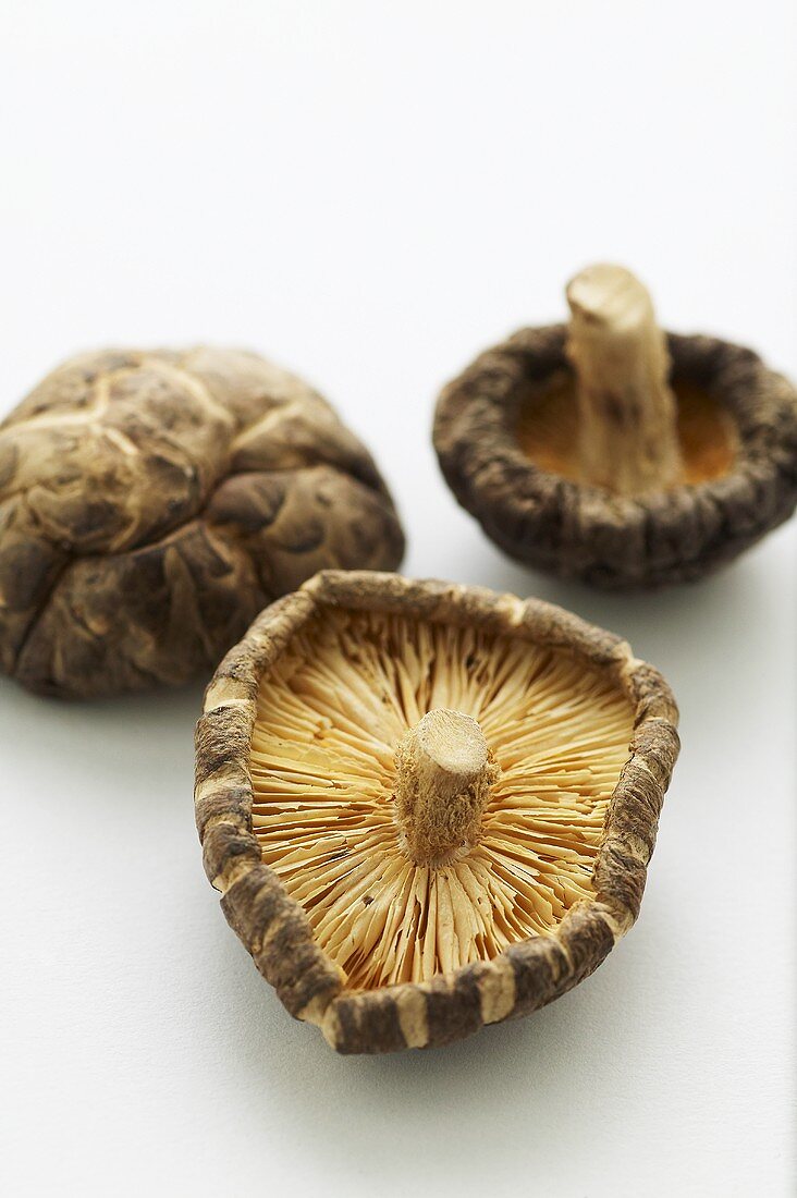 Three dried shiitake mushrooms