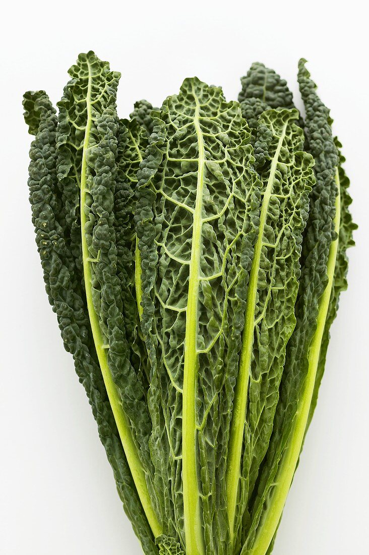 Black kale