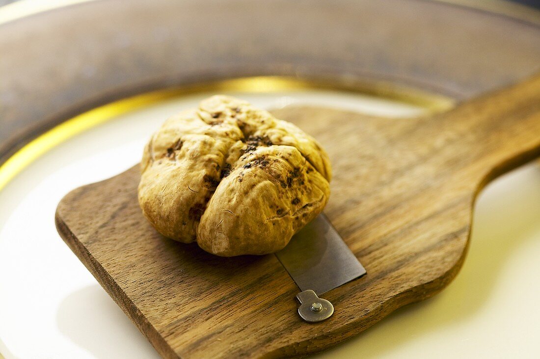 A white truffle on a truffle slicer
