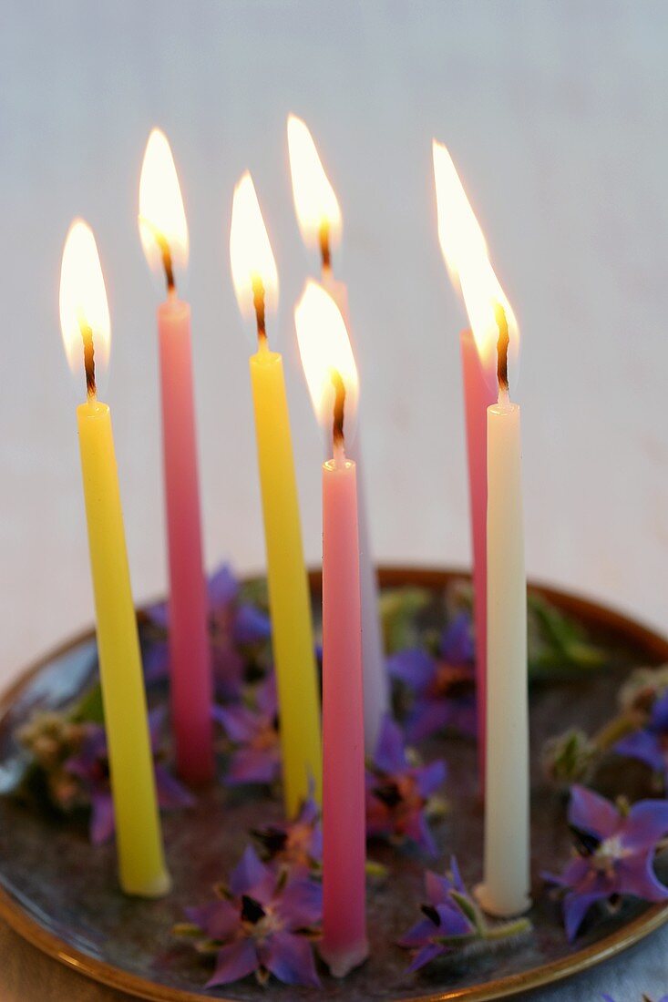 Candles among borage flowers on plate