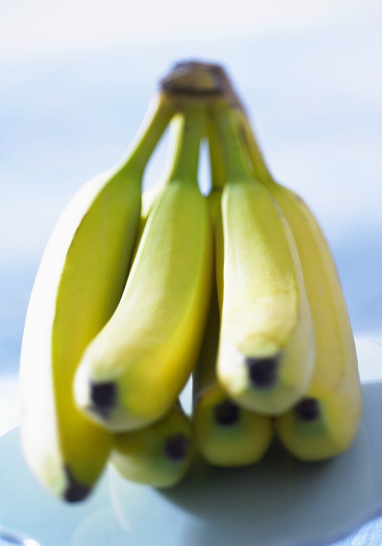 Fresh bananas